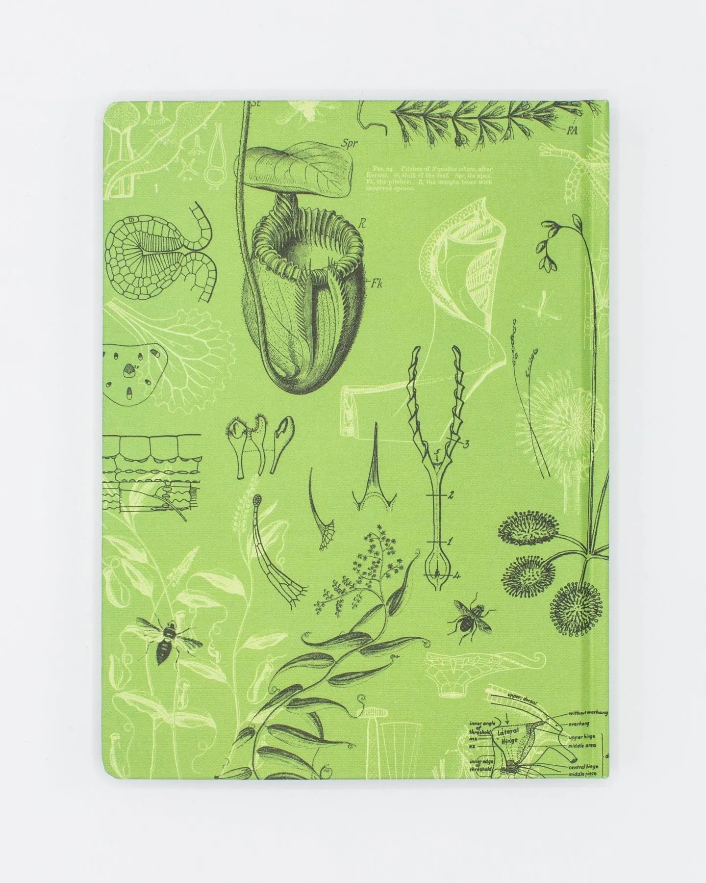Carnivorous Plants Hardcover Notebook - Lined/Grid