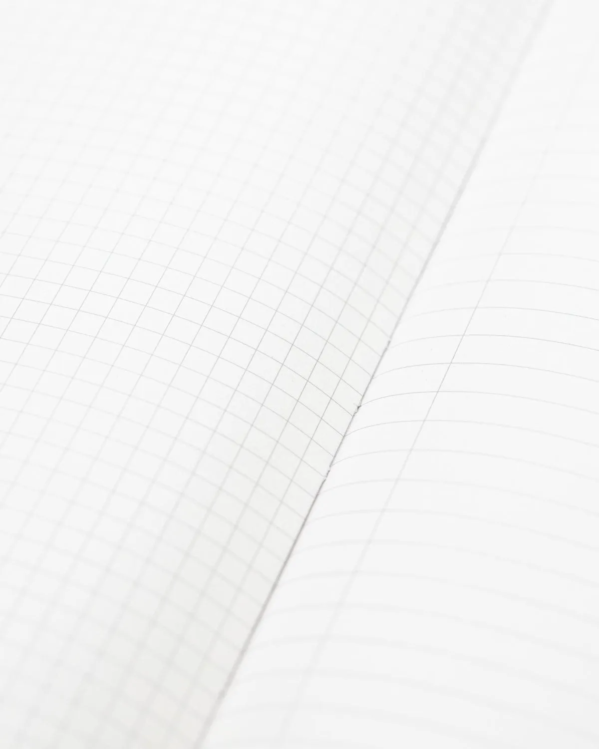 Carnivorous Plants Hardcover Notebook - Lined/Grid