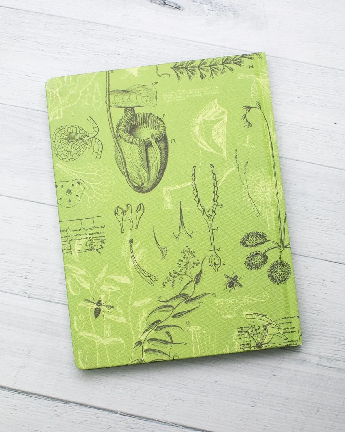 Carnivorous Plants Hardcover Notebook - Lined/Grid