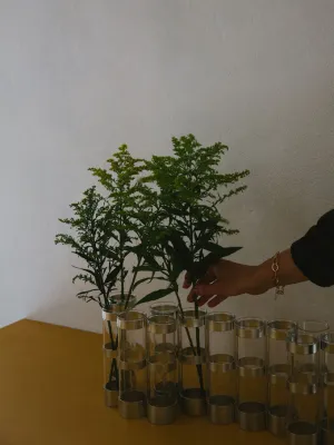 Vase d'Avril XXL